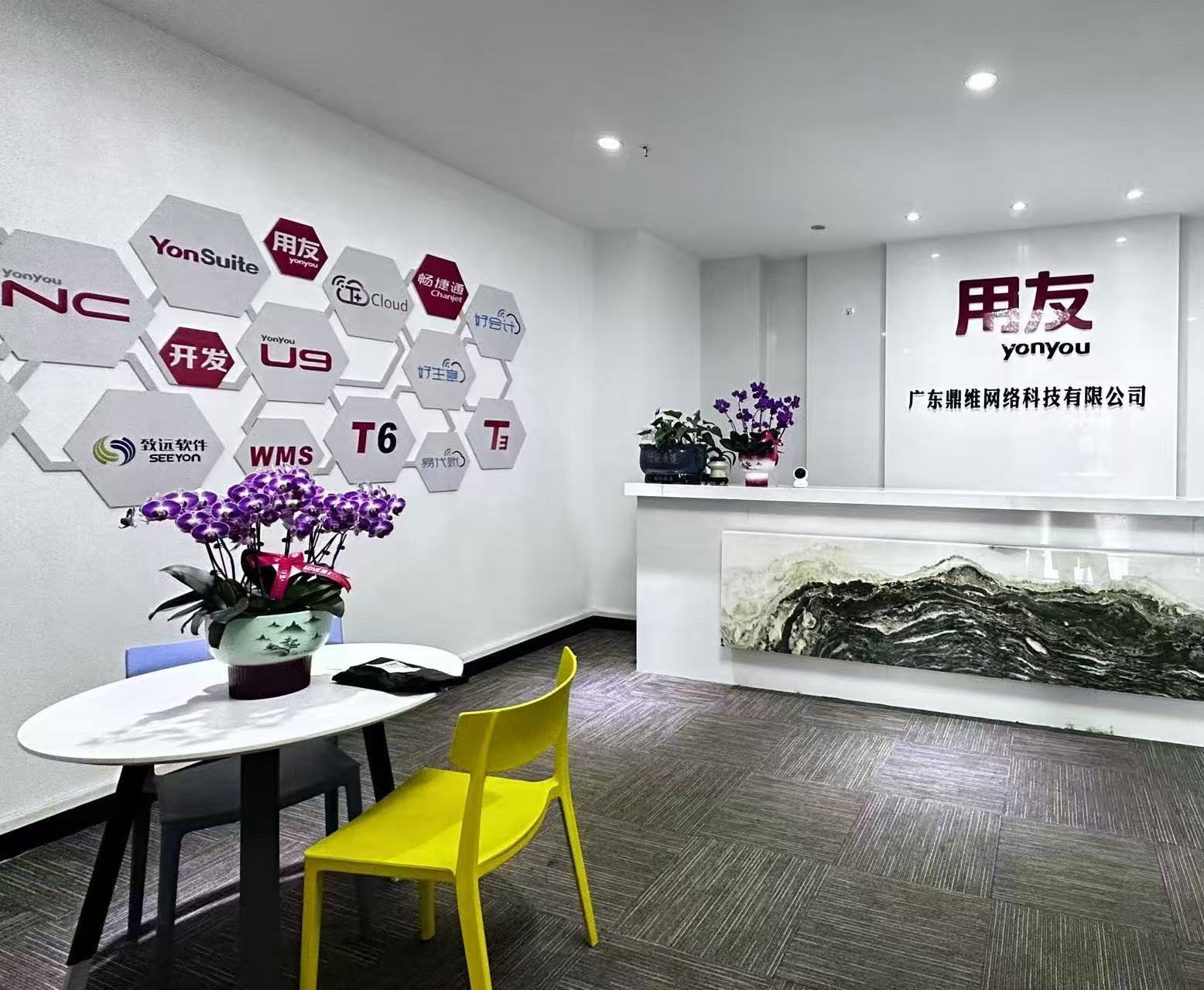 用友软件官方授权-广东鼎维